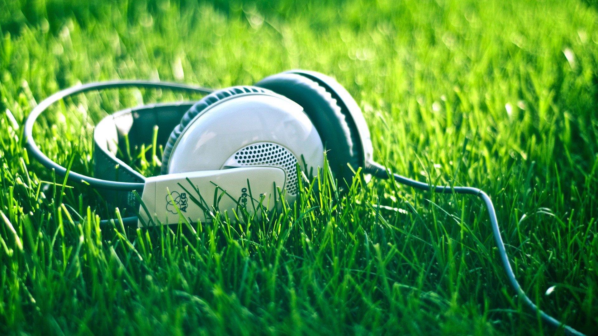 green grass headphones wire greens music