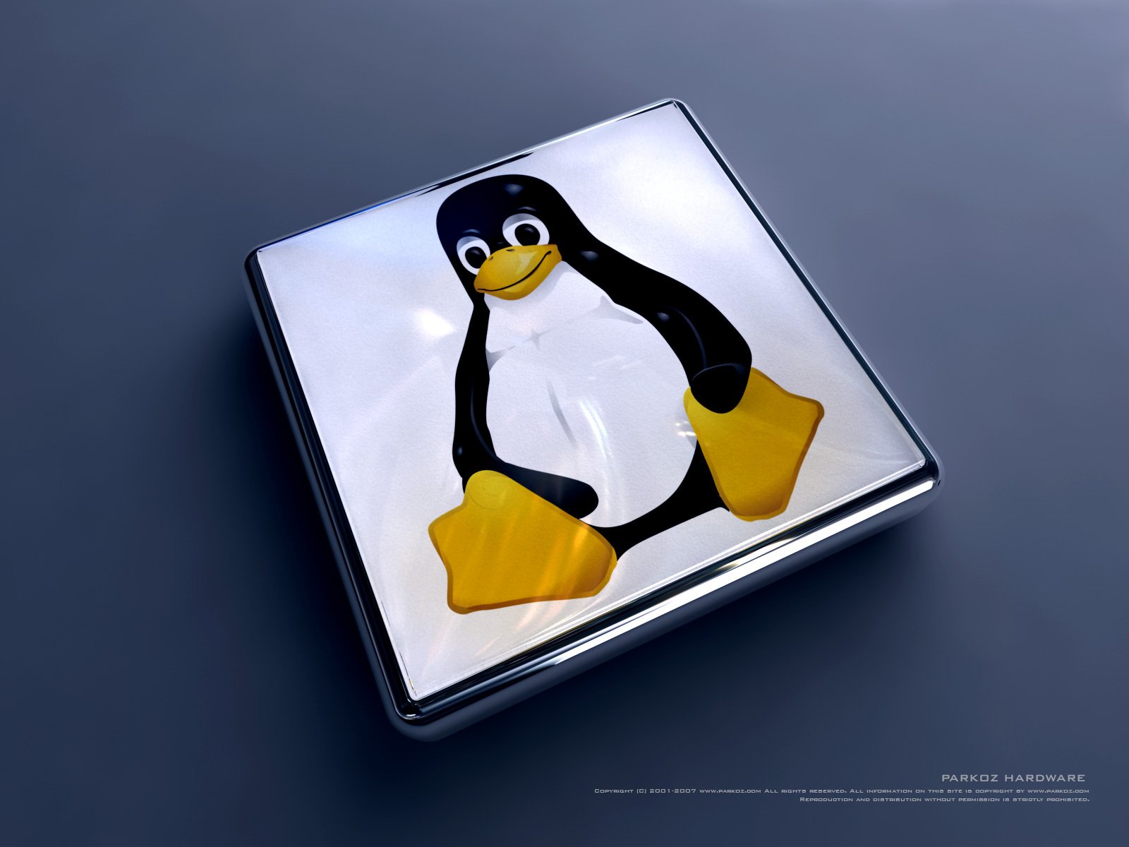 smoking pinguin linux