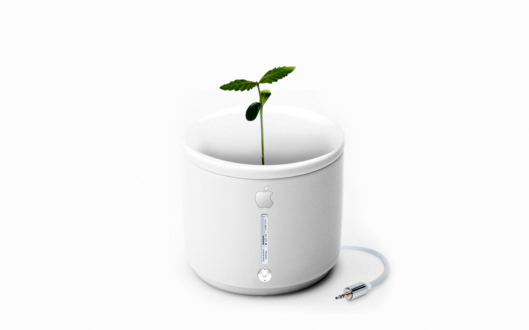 pequeña planta minimalismo taza verde fondo blanco fondo claro manzana manzana técnica futuro simplicidad estilo planta verde color blanco blanco verde hojas hoja hoja