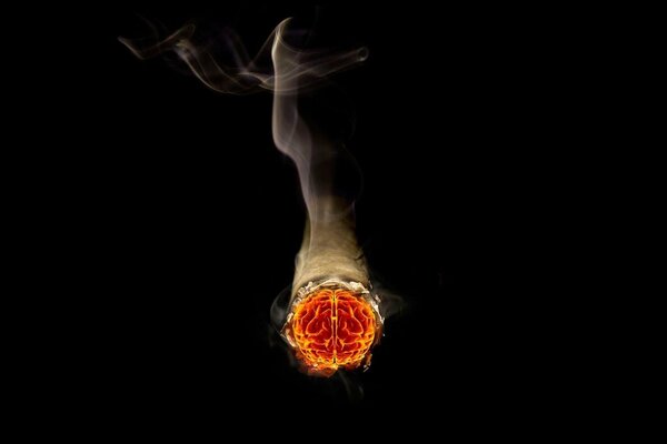 Cigarette smoke and brain on a black background