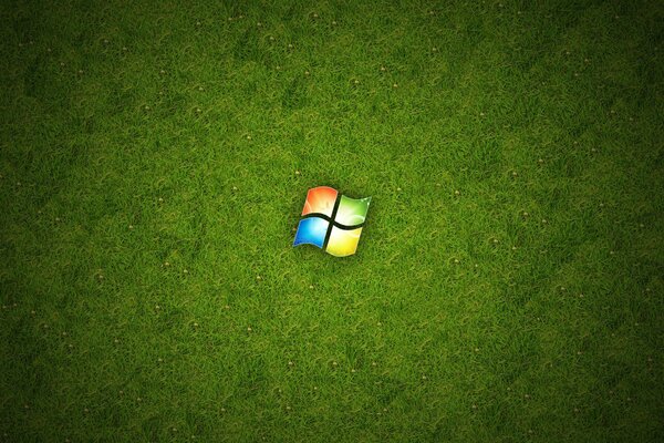 On the green grass, the computer logo