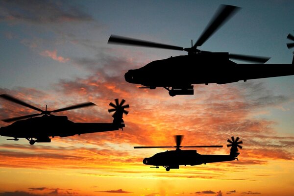 Military helicopters in the sunset sky