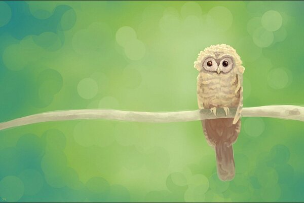 Owl in nature on a twig