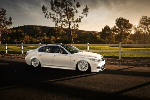 Blanco hermoso coche cerca del césped