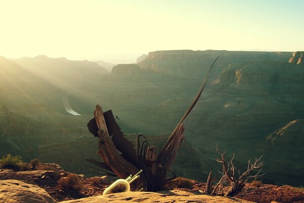 Widescreen-Bild auf dem Desktop mit der Natur