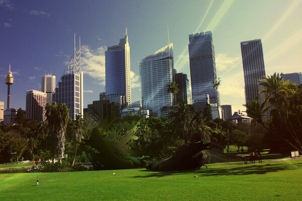 High-rise buildings near the city park