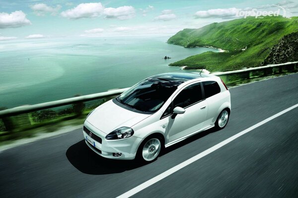 White fiat punto on the road