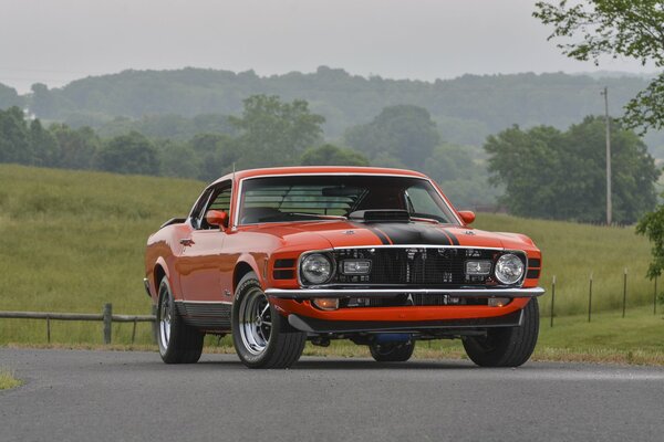 Ford Mustang red Super Cobra