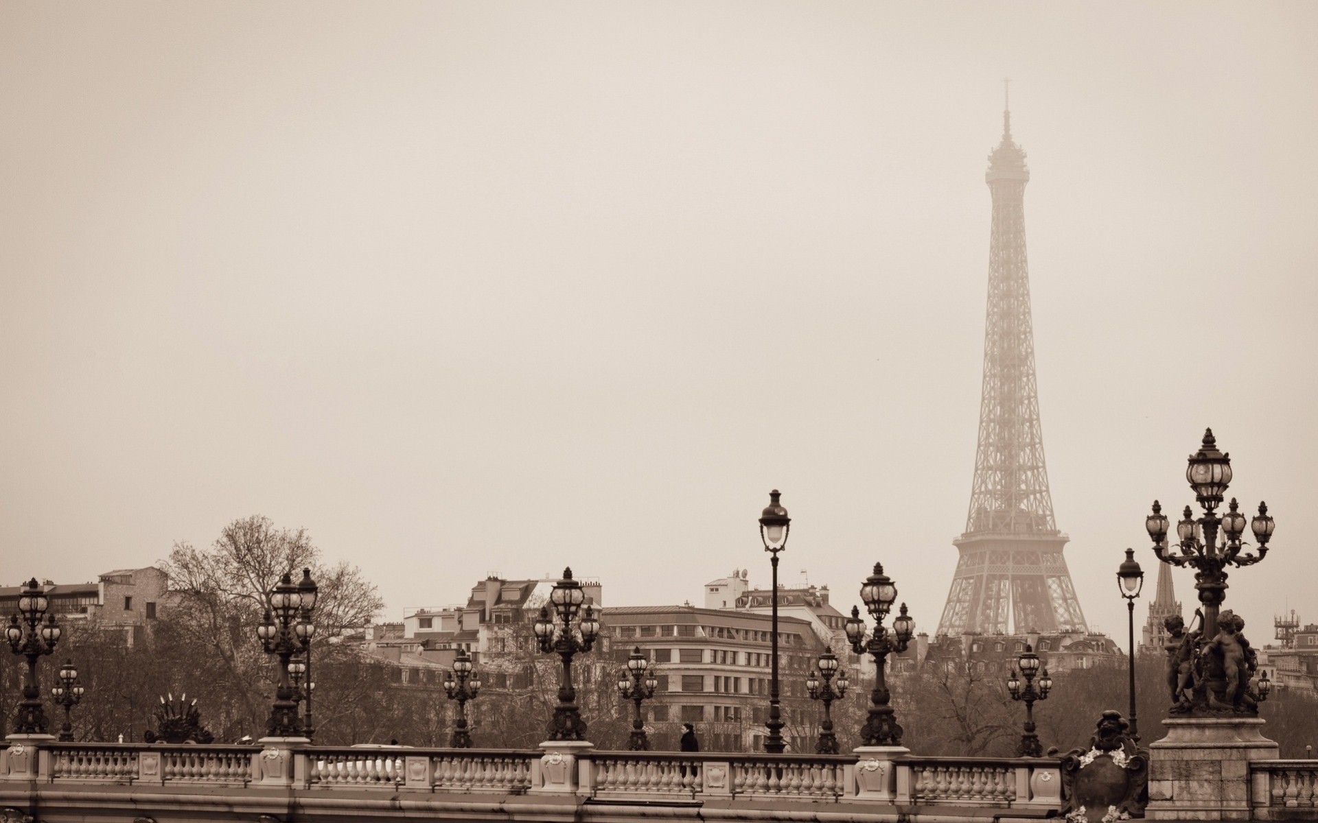 la tour eiffel pont alexandre iii qatar airways paris