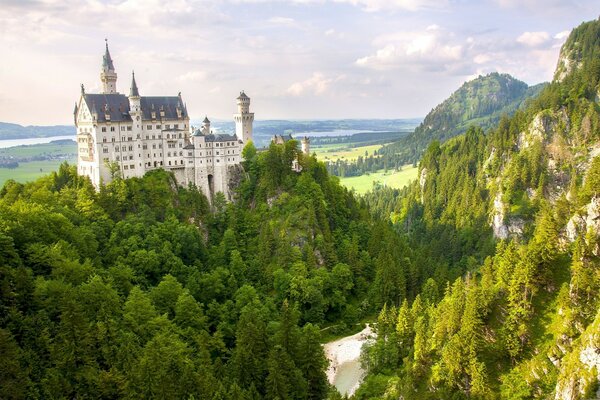 Panorama des Waldes mit Schloss Neuschweinstein