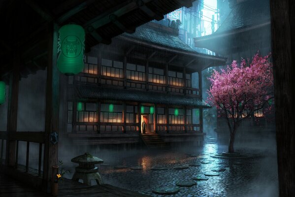 Chinese corner rainy night , sakura