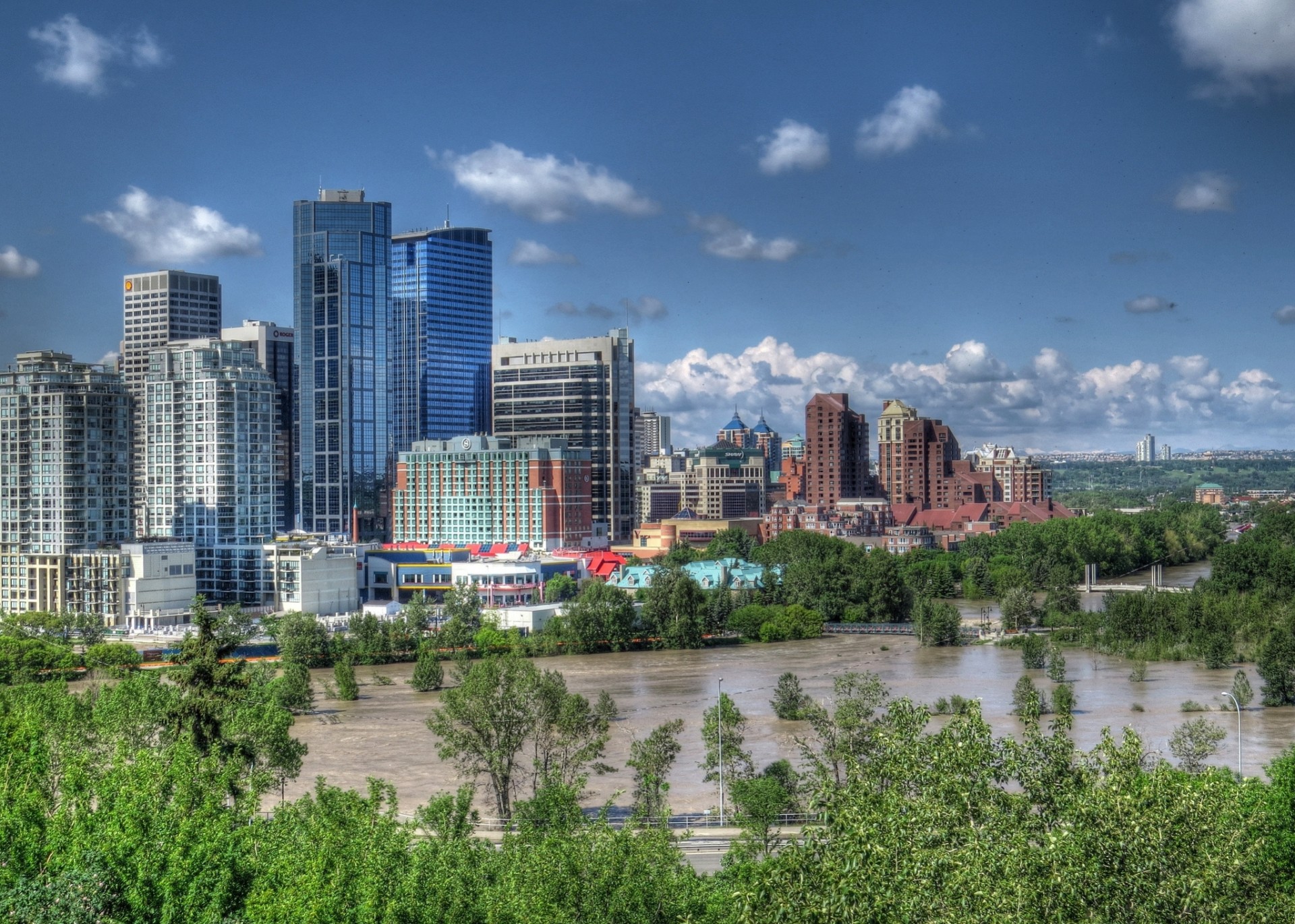 river calgary tree bow river canada building panorama