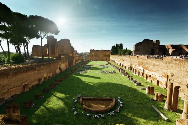 Vegetación hierba árboles ruinas Roma sol