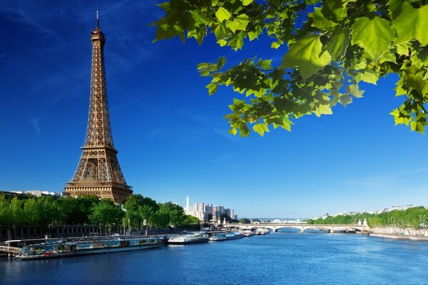 Beautiful photo with a view of the Eiffel Tower