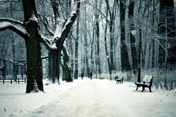 Parc à neige urbain avec banc