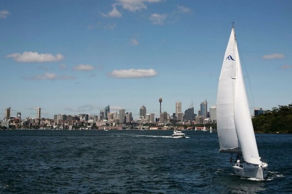 View of the city of Sydney in Australia