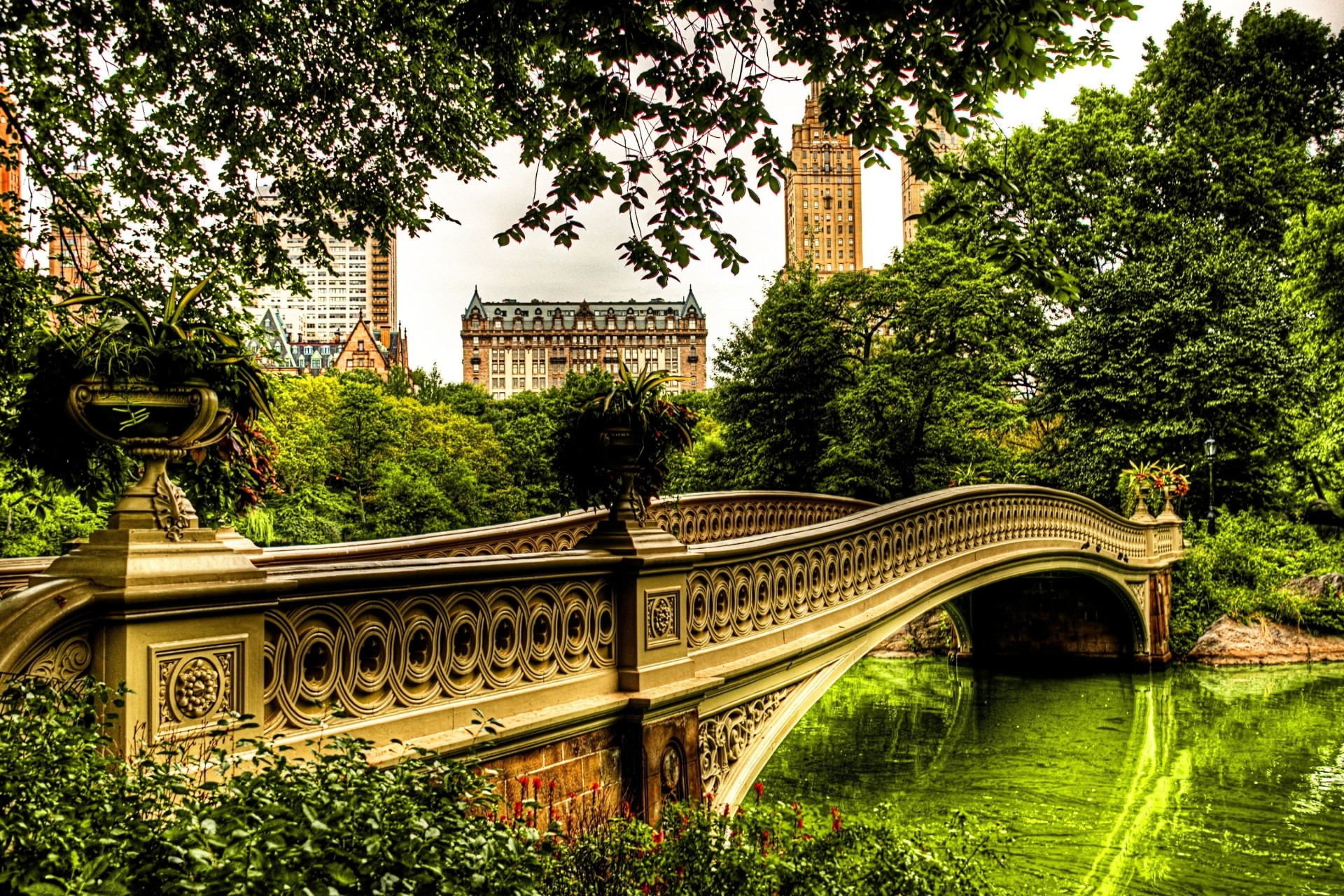 árboles puente río edificio