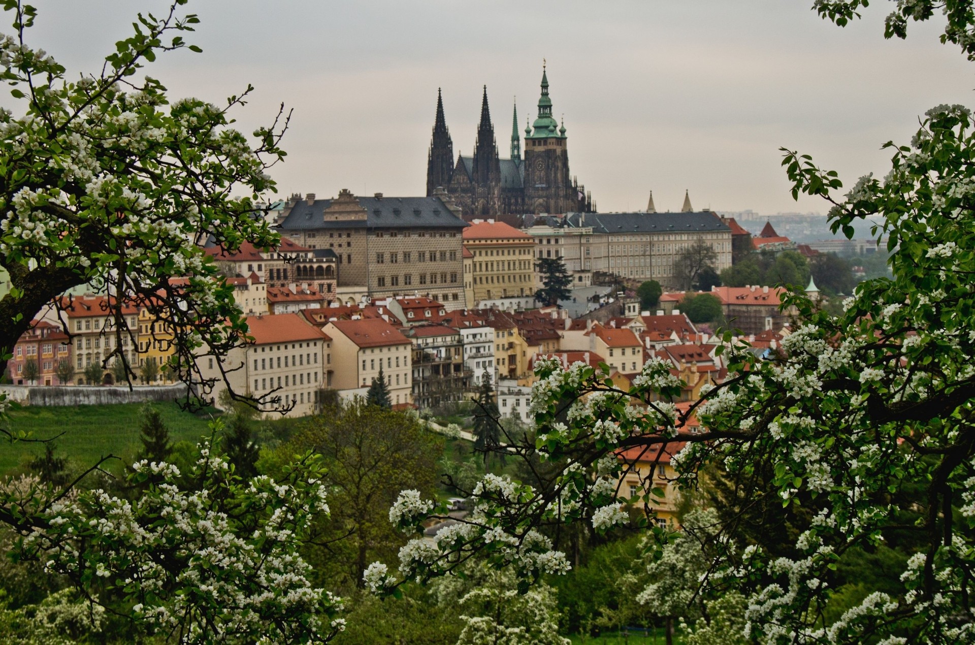 bäume blüte gebäude panorama tschechische republik prag frühling