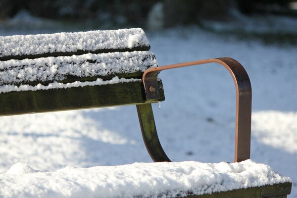 Banco cubierto de nieve en invierno en el parque