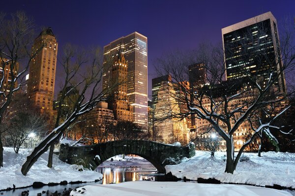 Winter Central Park della città di New York