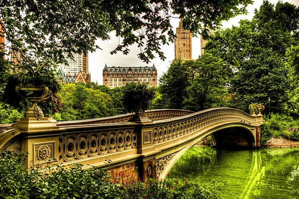 Brücke über den Fluss, umgeben von Bäumen