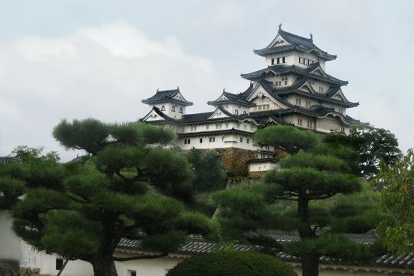 Château japonais sur une colline sur fond d arbres