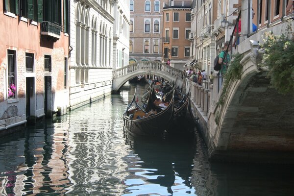 The Venetian Canal in the rays of the sun