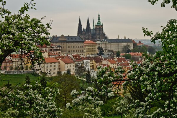 Panoramic view of the building of the Czech Republic in spring