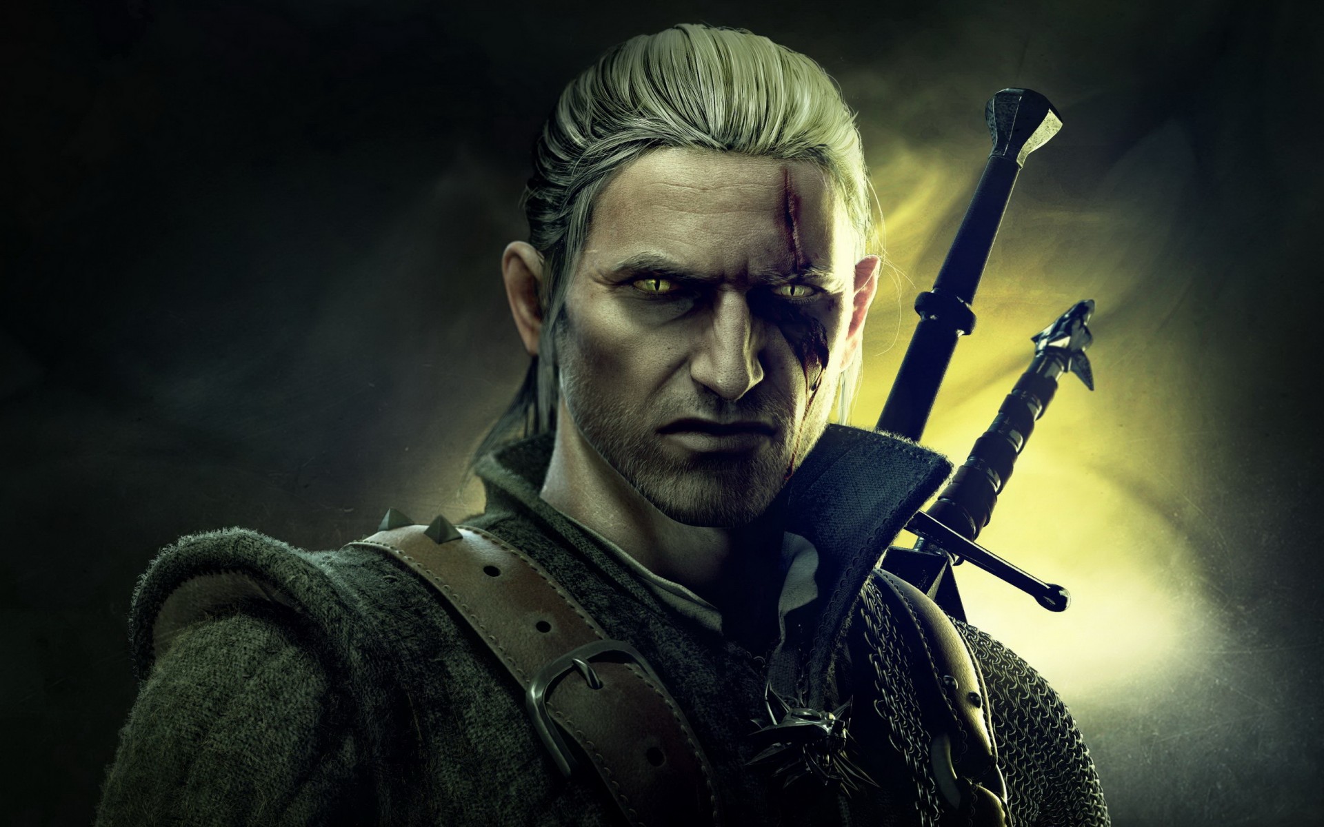 the witcher 2 assassins of kings the witcher scar snake eye