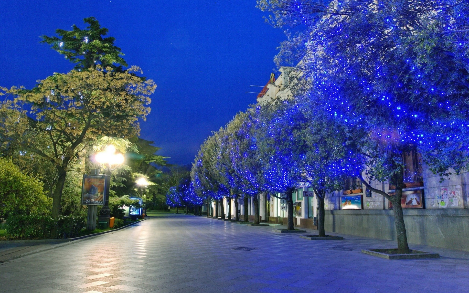 park nacht palmen blau weiß lichter stadt