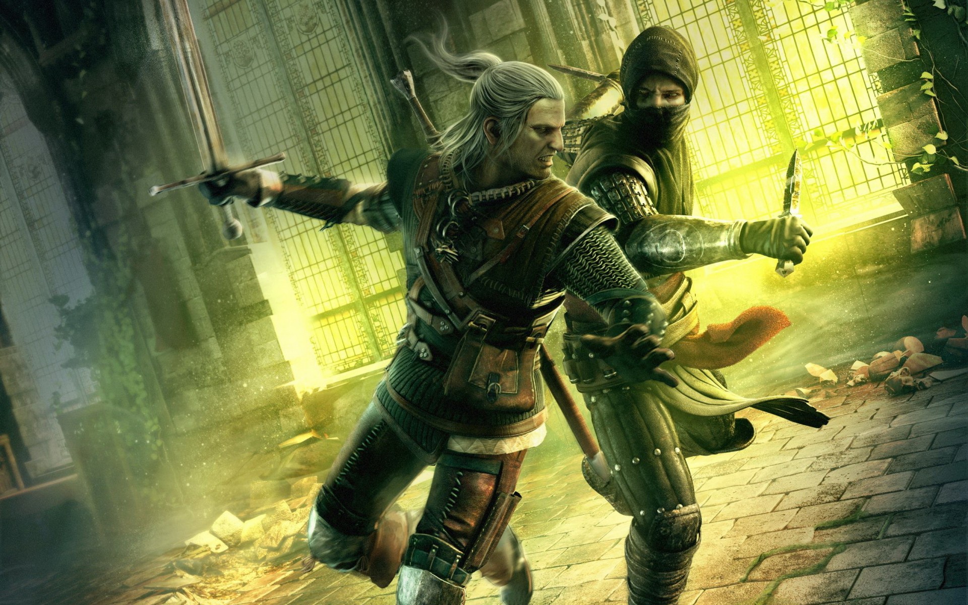 the witcher 2 assassins of kings the witcher asasin