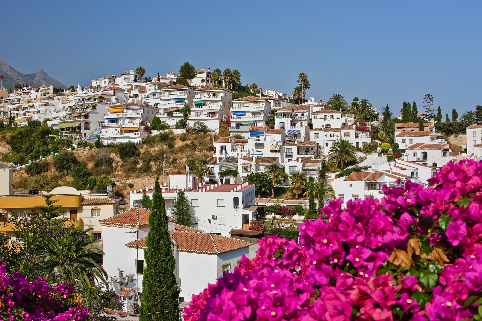 niebo natura domy palmy hiszpański krajobraz curl kwiaty hiszpania miasto nerja