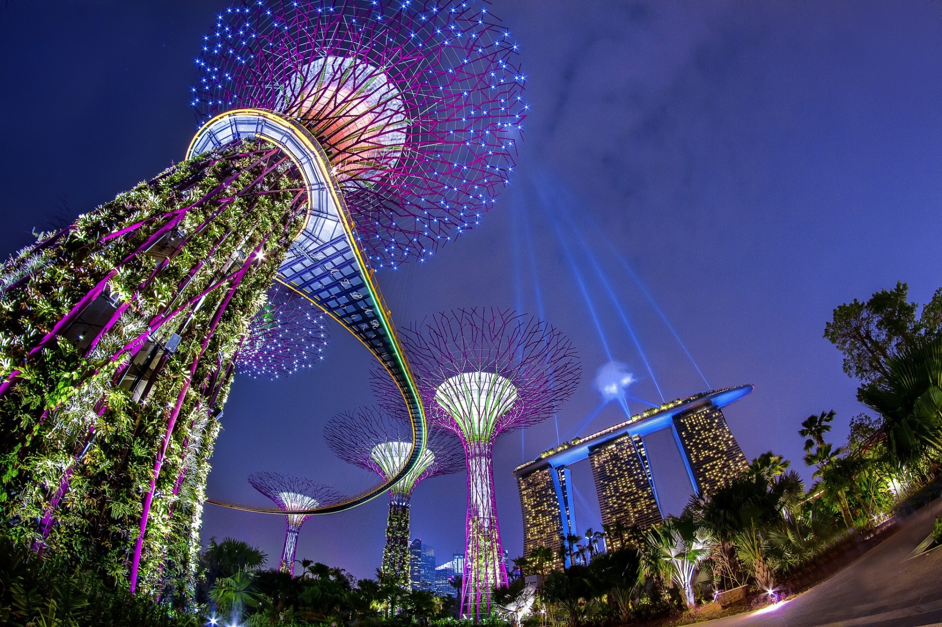 światła podświetlenie noc singapur park marina bay architektura marina bay sands ogród