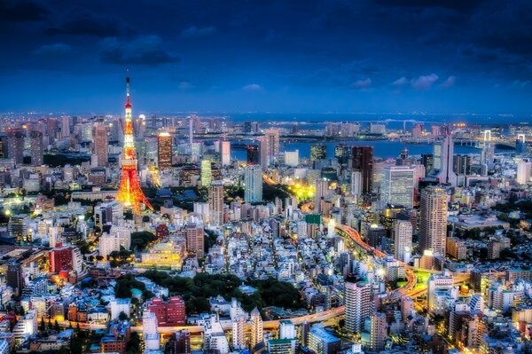 Tokyo en tant que capitale dynamique du Japon