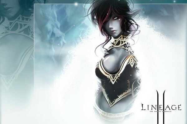 Affiche d ordinateur du jeu lineage2