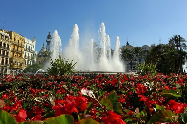 Bella fontana dietro i fiori rosso vivo