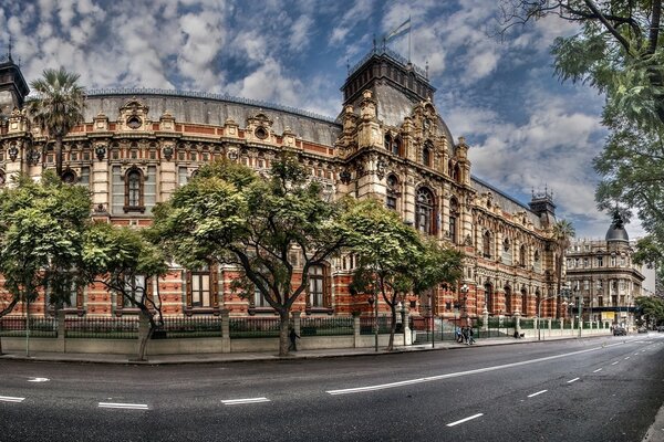 Bäume entlang der Straße in der Nähe des Palastes in Buenos Aires