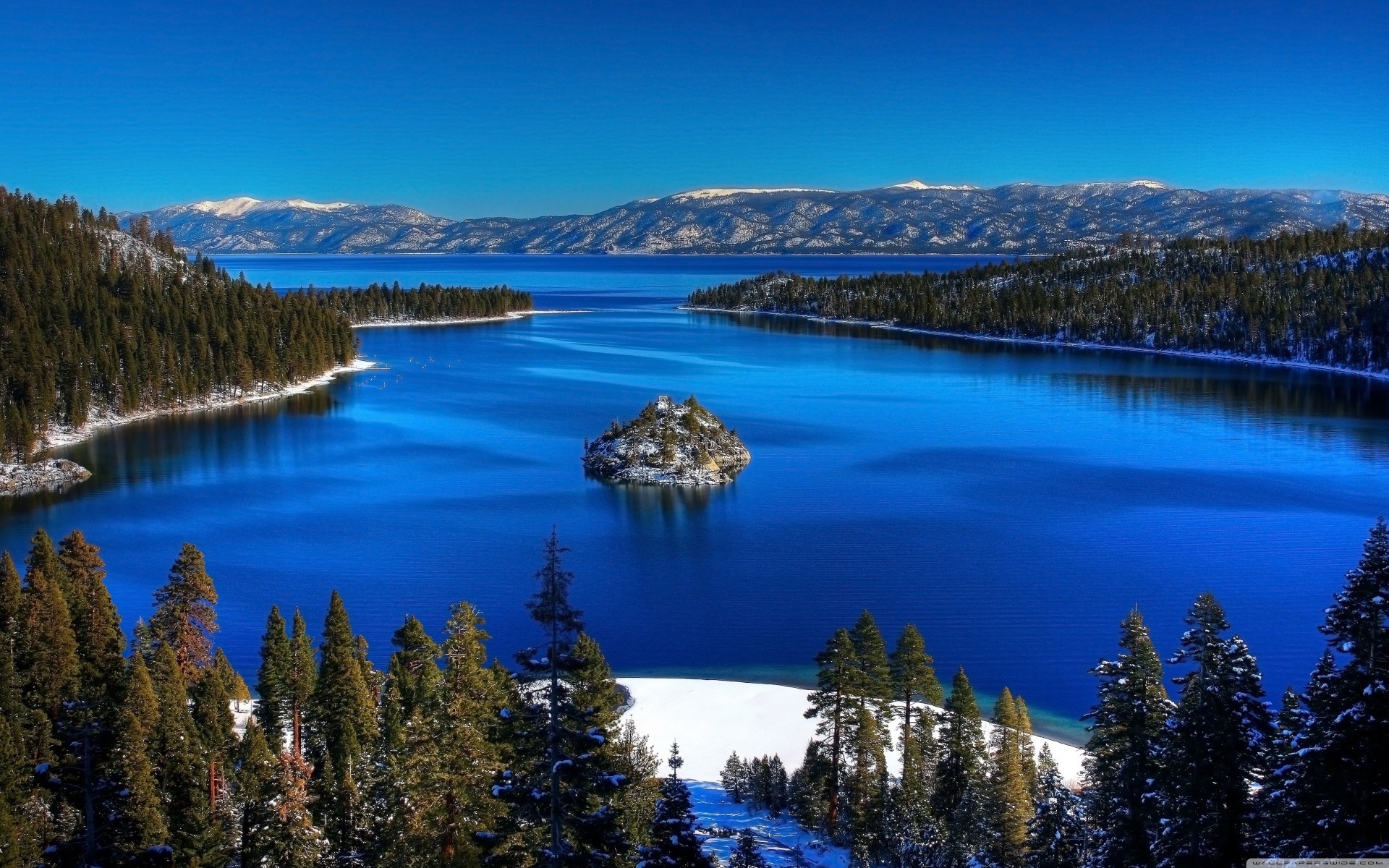 californie lac tahoe palmiers forêt bleu montagne hiver