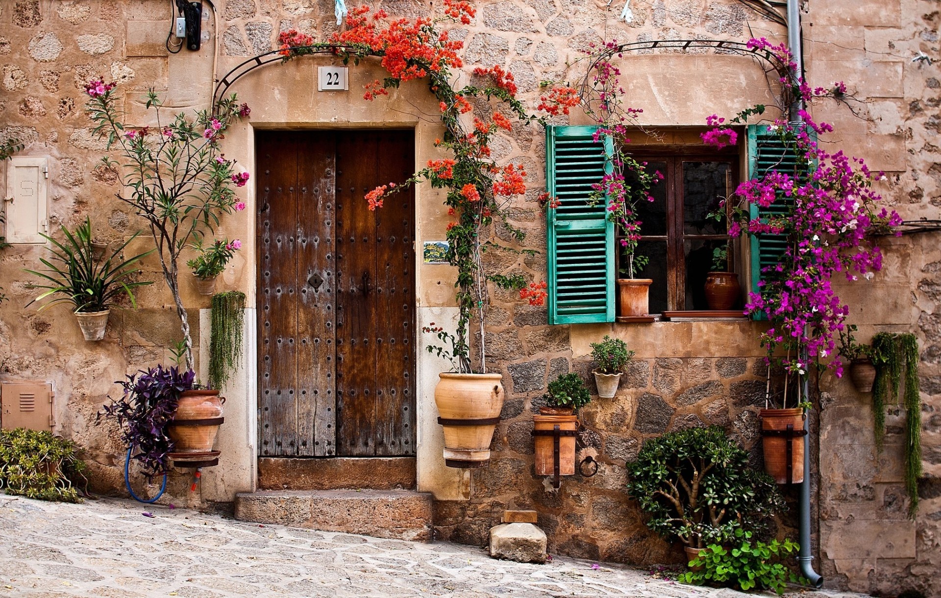 mur fenêtre porte fleur