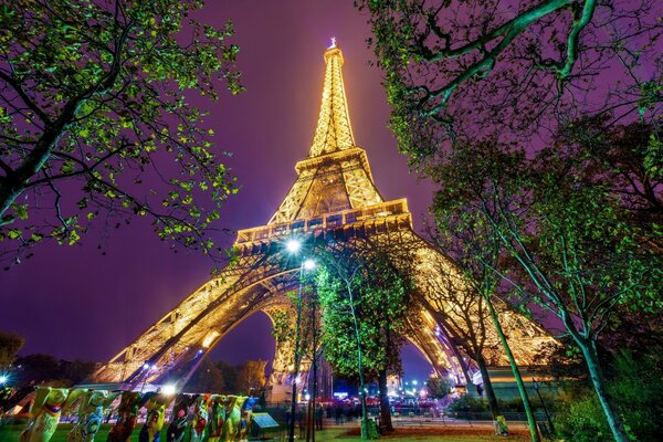 Tour Eiffel dans un parc à Paris