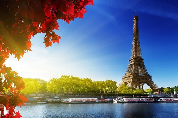 Feuilles d automne sur le fond de la tour Eiffel