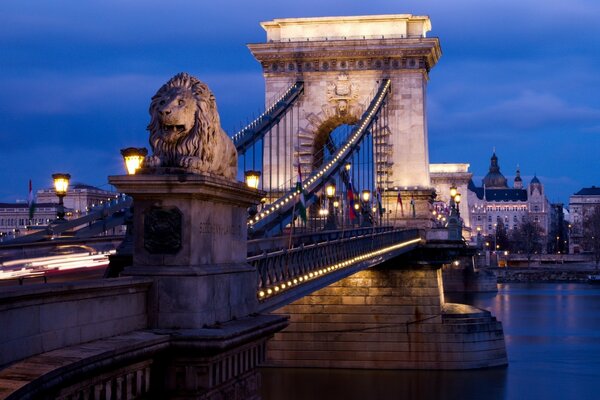 The most beautiful bridge with lions in Hungary