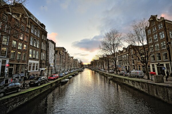 Residential buildings in Amsterdam