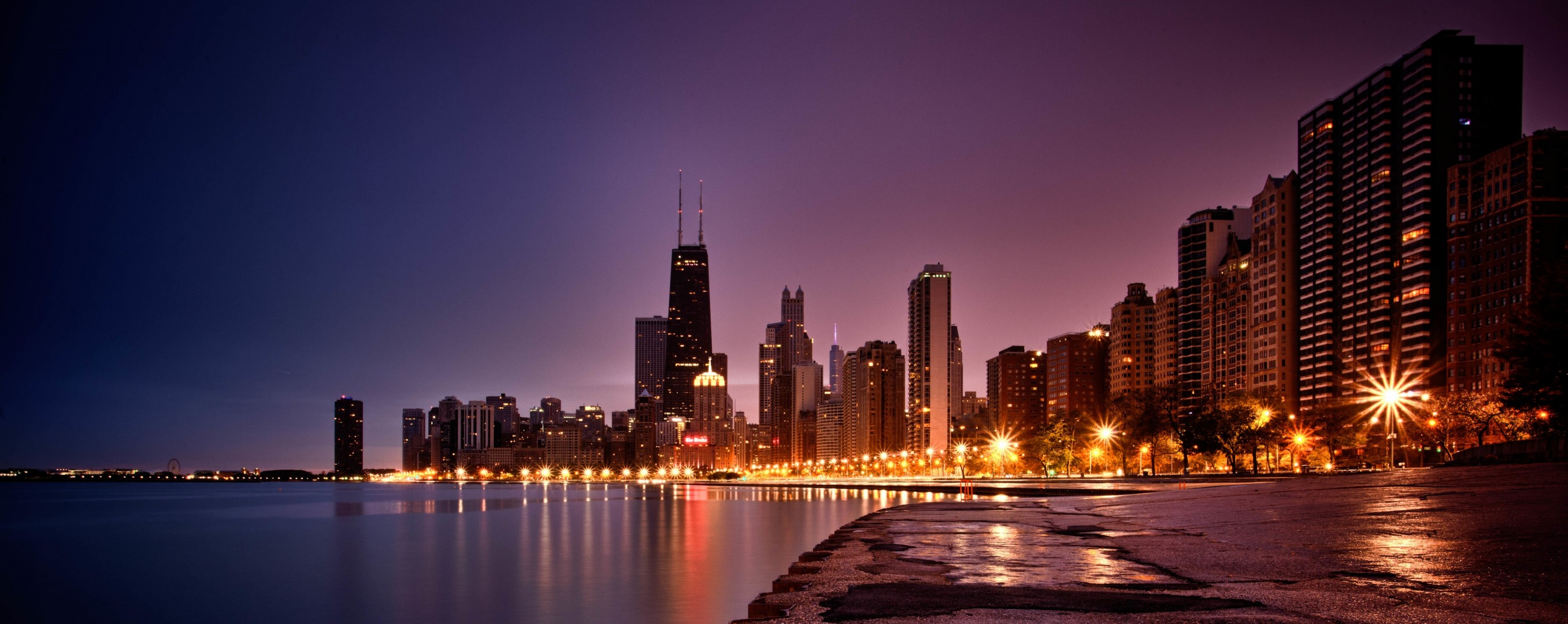 chicago tree skyscraper beach illinois town