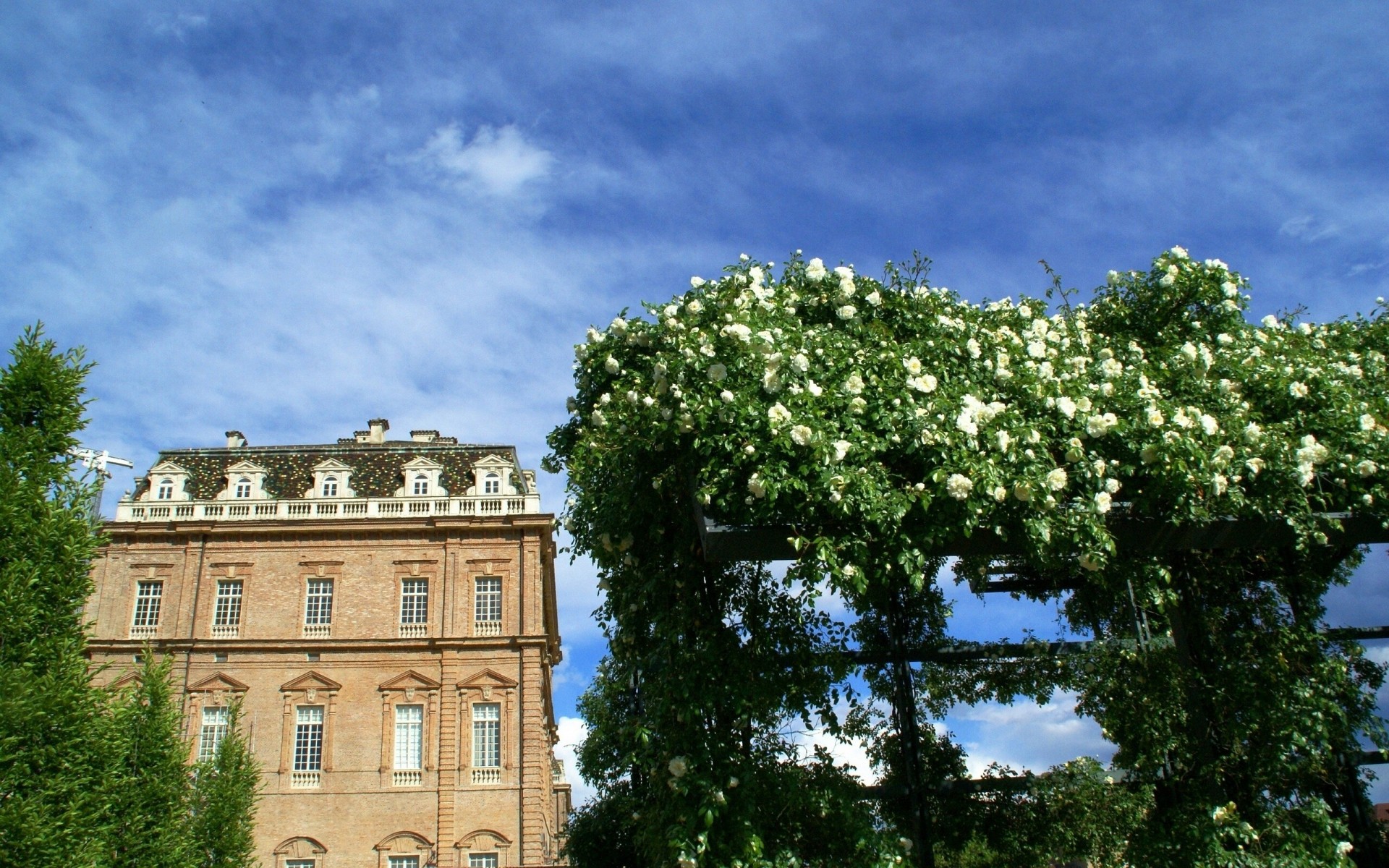 piemont italien rosen gebäude