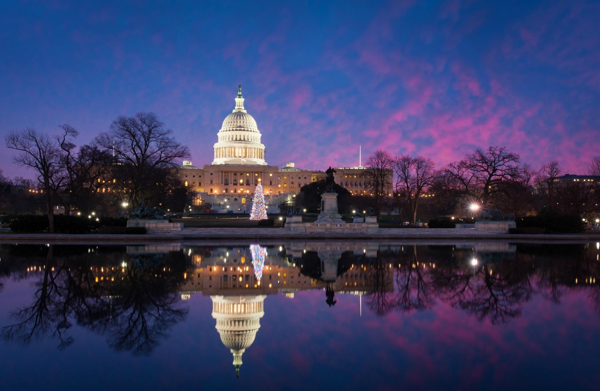 albero di natale luci washington stagno riflessione alberi campidoglio acqua parco illuminazione usa inverno luce