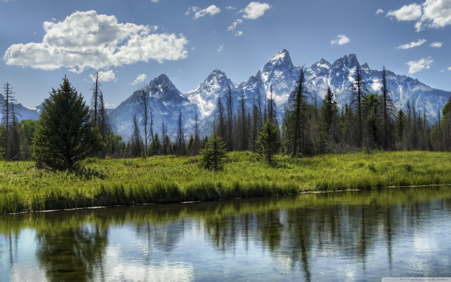 nature montagnes parc wyoming palmiers forêt rivière nuages