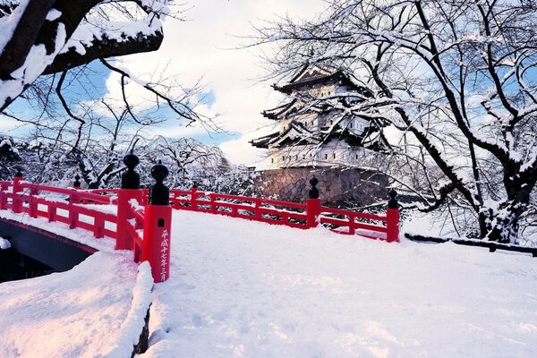 Camino nevado de invierno en Tokio