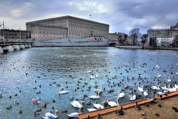 Vista urbana di Stoccolma-Svezia