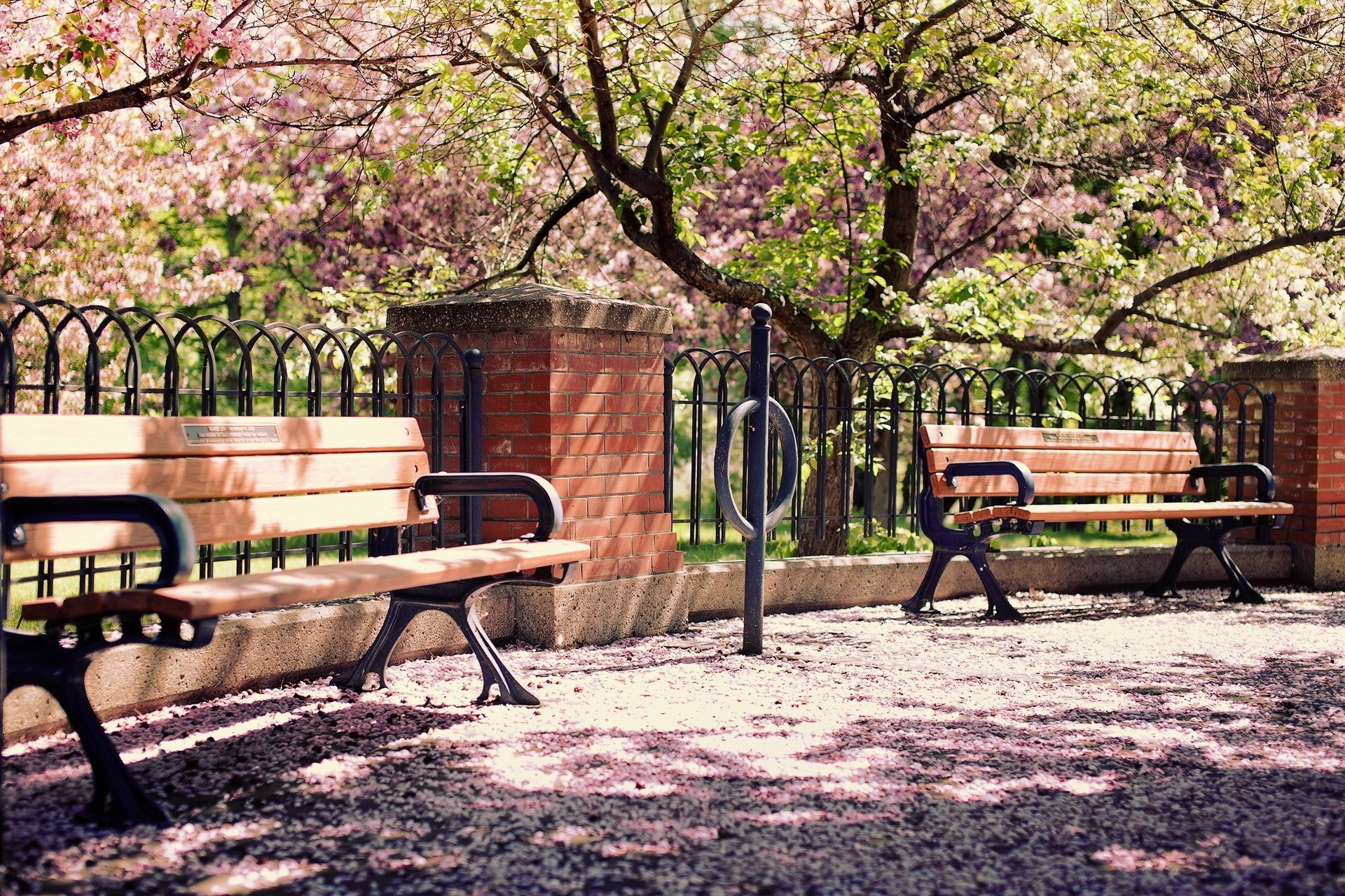 akura street town bench